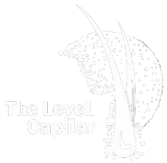 logo_the_level_capilar